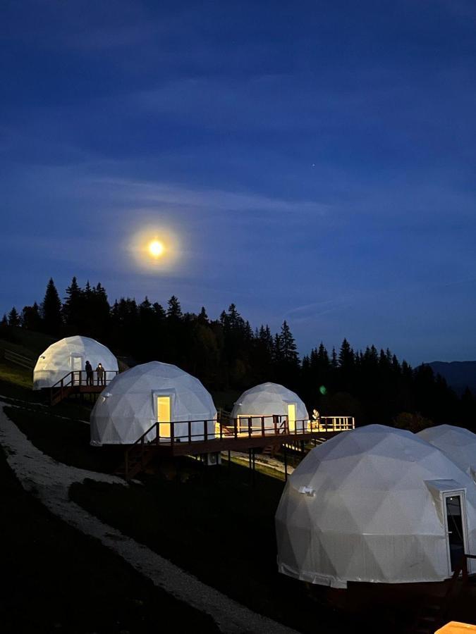 Глемпінг Де Вайб Hotel วอรอคตา ภายนอก รูปภาพ